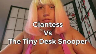 Giantess vs The Tiny Desk Snooper