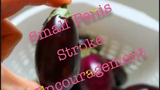 Giggling through your small penis stroke encouragement MP3