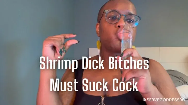 Shrimp Dick Bitches Must Suck Cock - Royal Ro sph encouraged bi