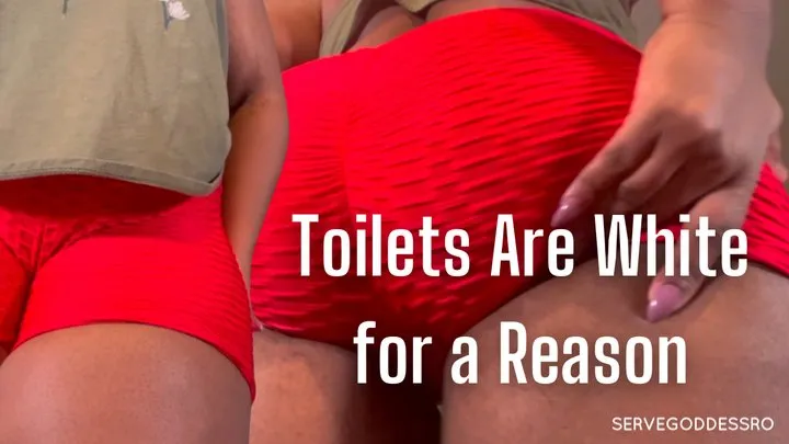 Toilets are white for a reason - Royal Ro BNWO toilet slave training