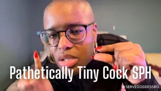 Pathetically Tiny Cock SPH - Royal Ro small penis humiliation ebony femdom pov