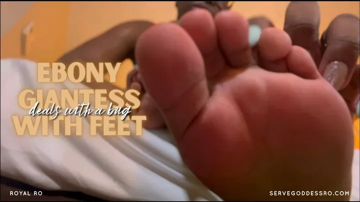 Ebony Giantess Deals with a Bug with Feet by Royal Ro with Ebony Giantess, Foot Worship, Ebony Feet, Toe Wiggling, Ebony Soles, Ebony Foot Fetish, Foot Scrunching, Feet Worship, POV