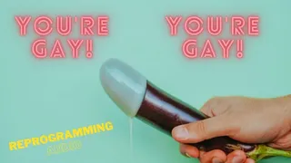You're Gay! Reprogramming Audio