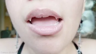 Vampire Mouth Tour JOI Version