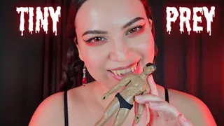 Tiny Prey - Giantess Vampiress Countess Wednesday Mesmerizes You - Vampire Vore, Biting, Licking, Eye Contact