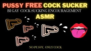 Pussy Free Cock Sucker ASMR Encouragement - AUDIO