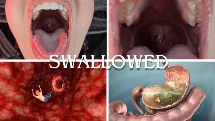 Swallowed Whole and Digested - Giantess Countess Wednesday Vores You - Swallowing, Inside Stomach Special Effects, Mouth Closeups, Descriptive Vore, and Digestion