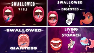 Vore Audio Mega Pack - Giantess Countess Wednesday Vores You - Swallowed Whole, Digested, ASMR, Belly Sounds, Turned into Waste AUDIO ONLY
