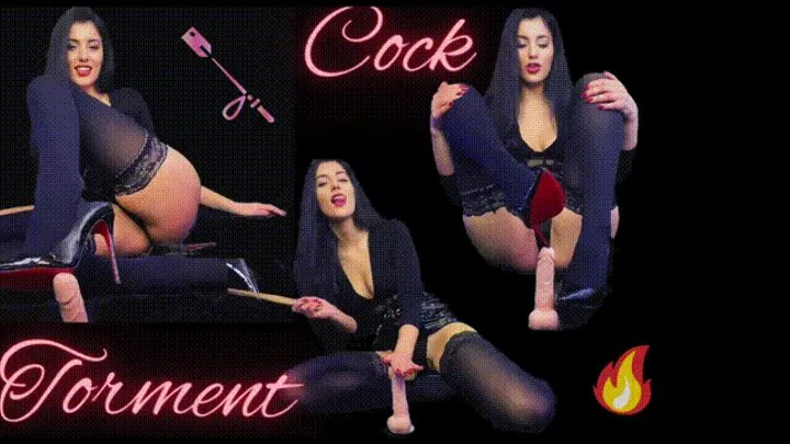 Cock Torment (Pain & Pleasure)