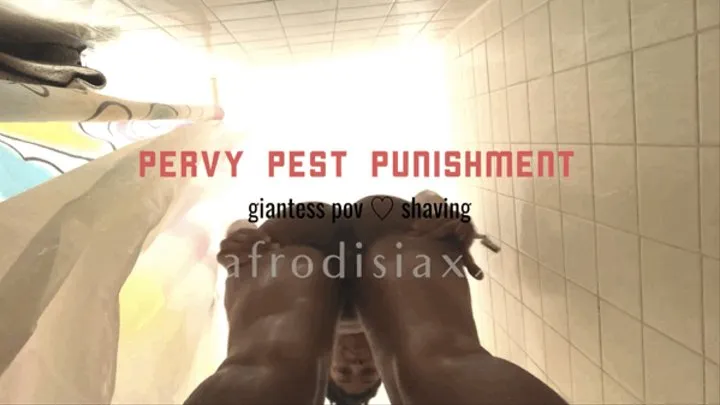 Pervy Pest Punishment