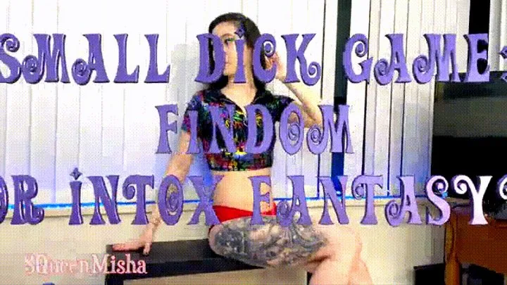 Small Dick Game: Findom or -Fantasy?