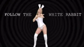 Follow the WHITE RABBIT!