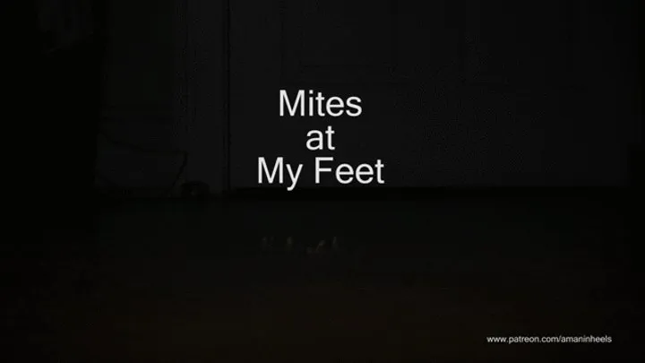 amaninheels | Giant Crossdresser | Mites at My Feet