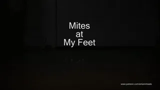 amaninheels | Giant Crossdresser | Mites at My Feet