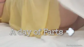 A Day of Farts