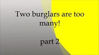 Two burglars are too many - part 2