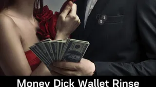 Money Dick Wallet Rinse Party