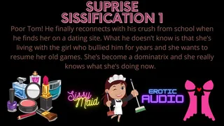 Suprise Sissification Part 1 Written by Kylie Gable Narrated by Shayla Aspasia