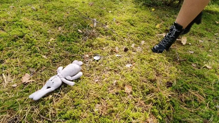 Plushie Crushed On Forest Moss In Winter Ankle Boots