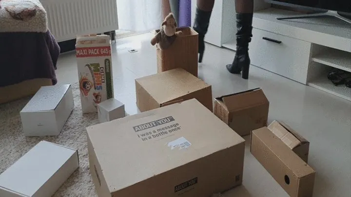 Cardboard Boxes Crush in Boots