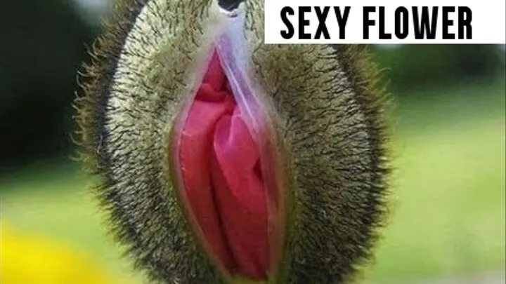 I'm Stepdaddys sexy flower