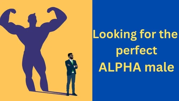 Looking for the perfect Alpha male