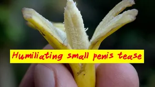 Humiliating small penis tease