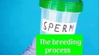 The breeding process