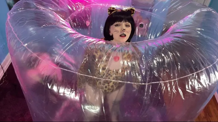 Pussycat Gets Stuck In Inflatable Squeezer