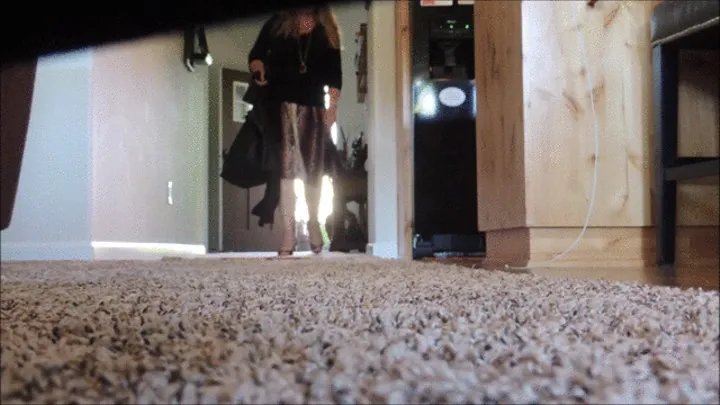 Watch Deb Come Home From Work Wearing Her Brown Skirt with Cheetah Print Abella Spiked Heel Pumps & Fuck Her Hubby 5 (6-14-2021)