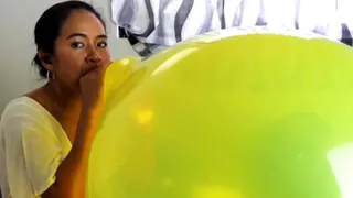 Stella Blows To Pop Your Huge 24 Inch Tuftex Balloon