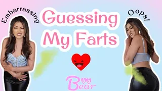 Custom: Guessing My Farts