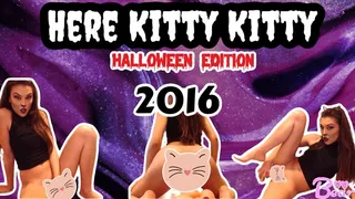 Here Kitty Kitty *Halloween Edition* 2016