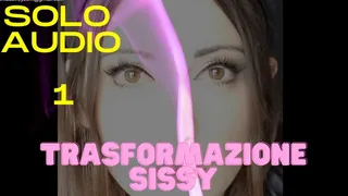 TRASFORMAZIONE SISSY 1