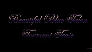 Beautiful Blue Talon Torment Tease