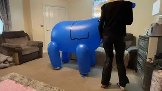 Inflatable giant elephant hump and ride smoking then cigarette pop