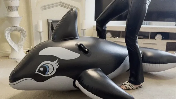 Inflatable whale ride and sit pop