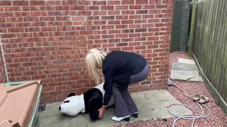 Panda destruction