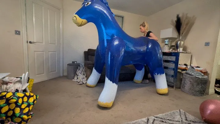 Transparent blue pony ride