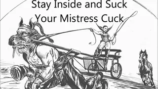 Stay Home, and Suck Your Mistress Cock