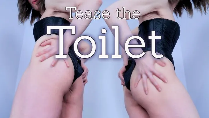 Tease the Toilet