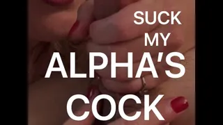 Suck My Alpha's Cock JOI