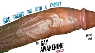 The Gay Awakening Podcast Episode #42 - BBC Turned You Into A Faggot