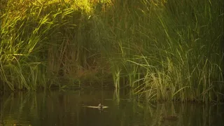 Dru Berrymore Finally Gets Her HighSchool Love's Dick On A Pedal Boat