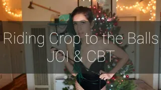 Riding Crop to Your Balls CBT, JOI, CEI & Cum Count Down