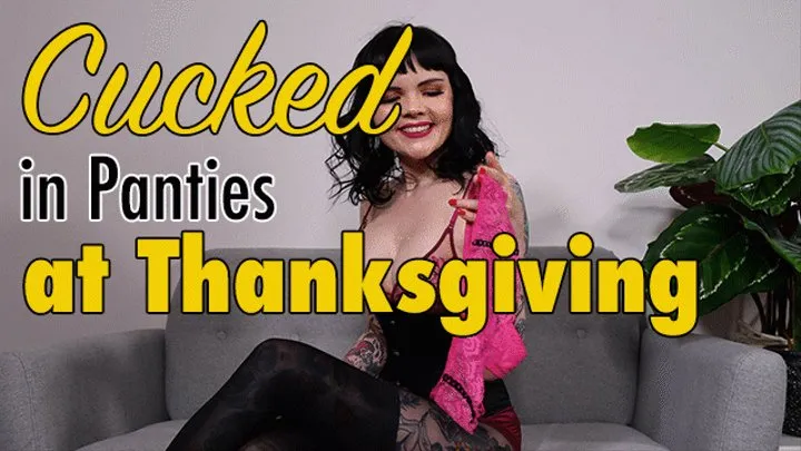 Cucked in Panties at Thanksgiving