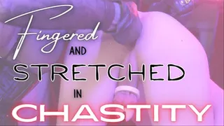 Fingered and Stretched in Chastity