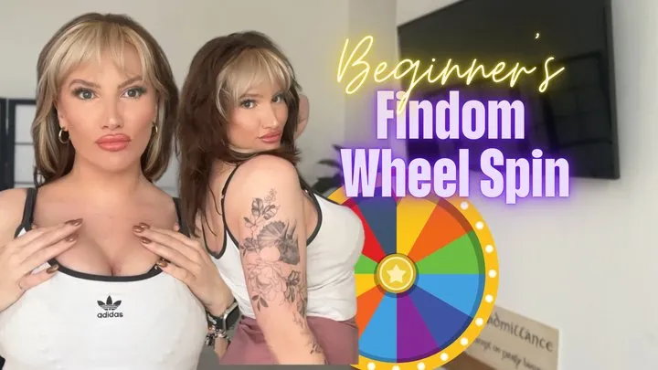 Beginner's Findom Wheel Spin