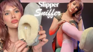 Slipper Sniffer