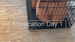 Slavecation Day 1: Cage Humiliation